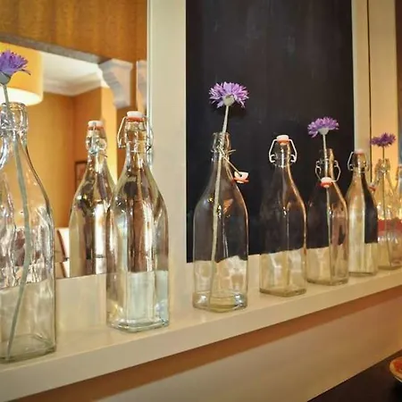 枫叶酒店 酒店 都柏林
